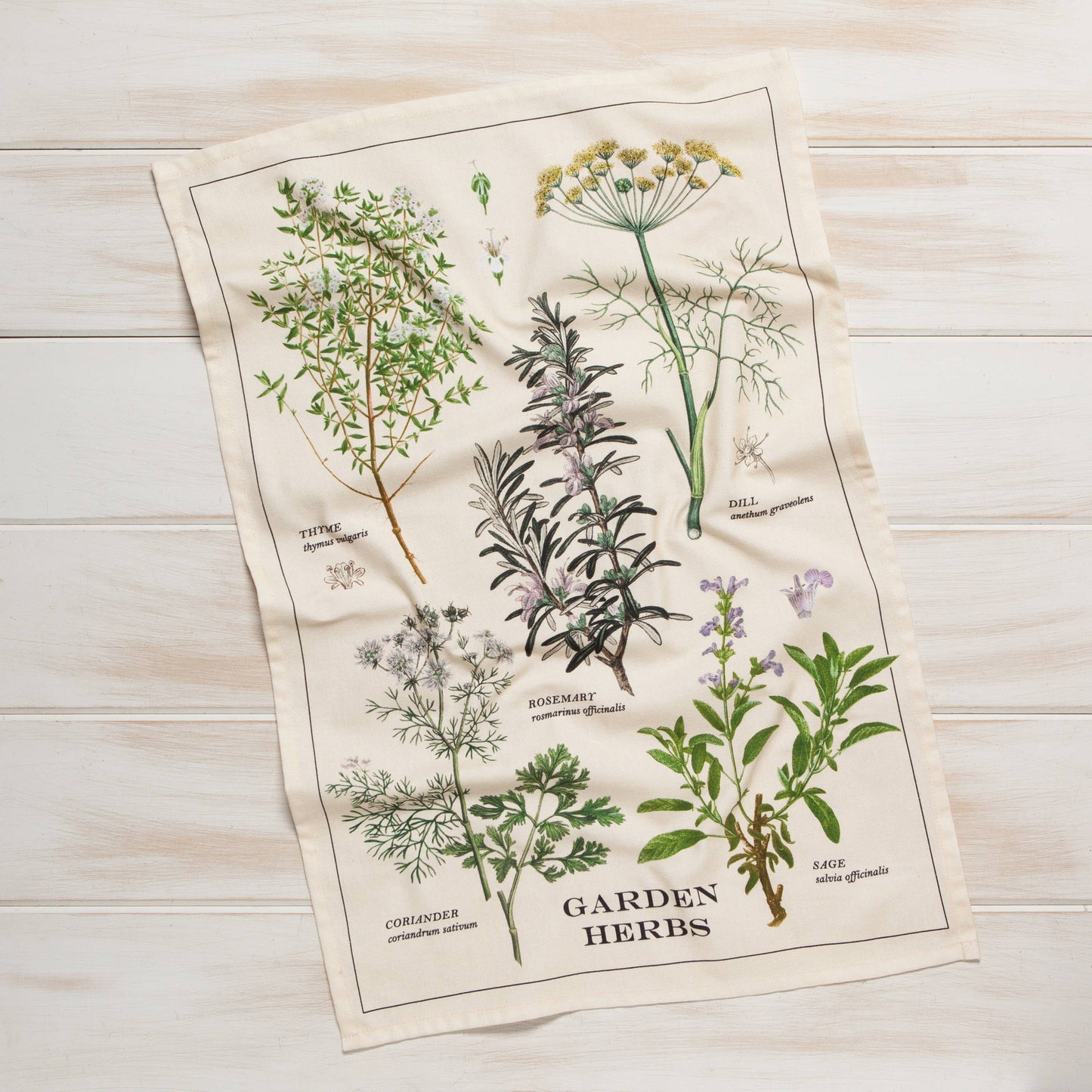 Garden Herbs Dishtowel