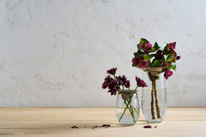 Floral Propogate Assorted