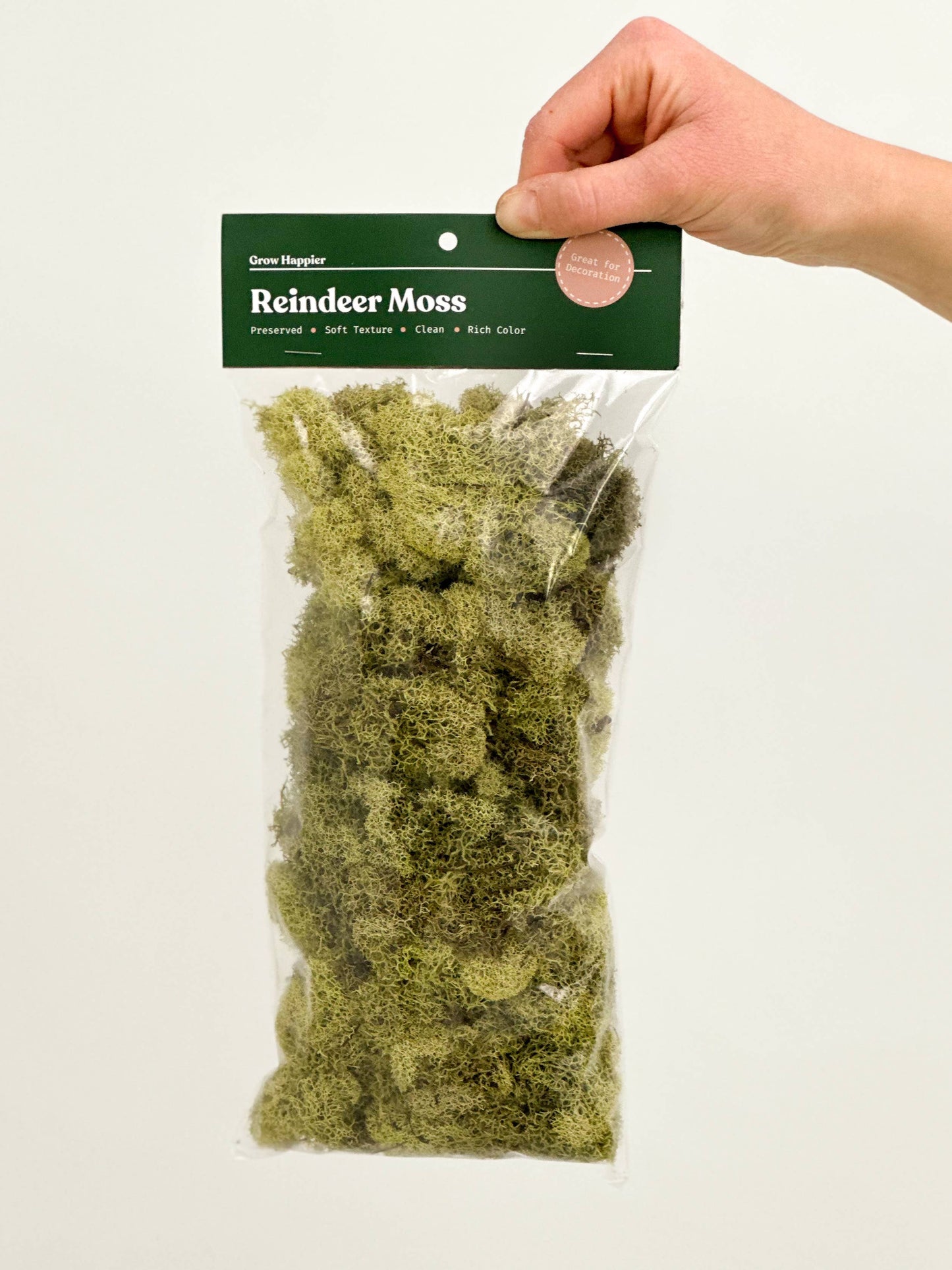 Preserved Reindeer Moss - 90g Bag
