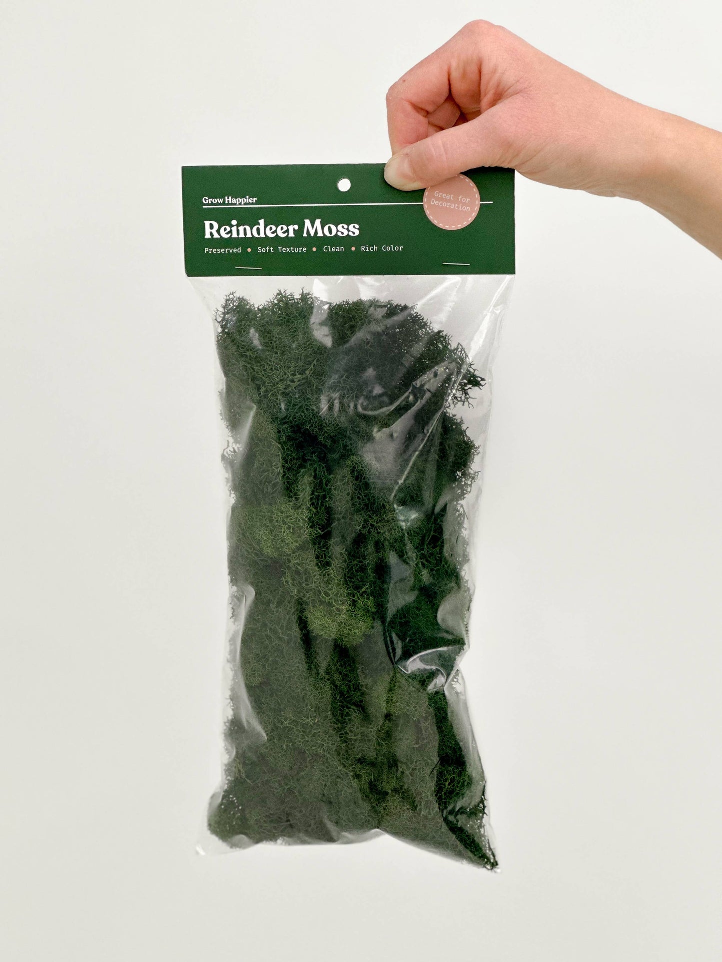 Preserved Reindeer Moss - 90g Bag