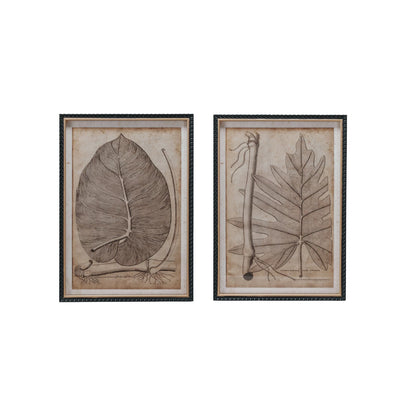 Leaf Wall Art