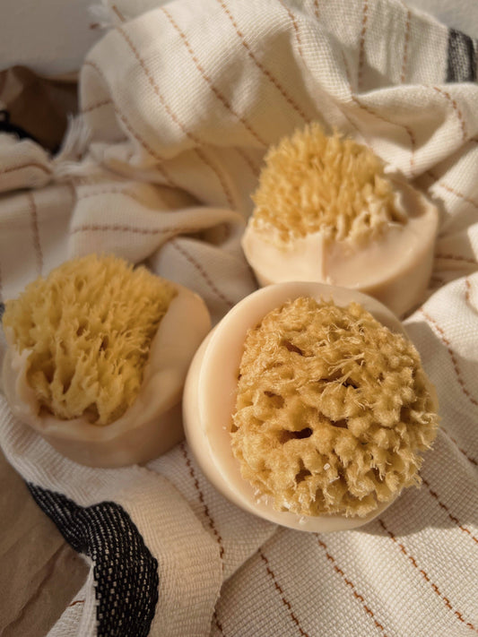 Vanilla & Coconut Milk Sea Sponge Palm Free Handcrafted Soap