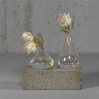 Gwen Vase, Glass - Squat