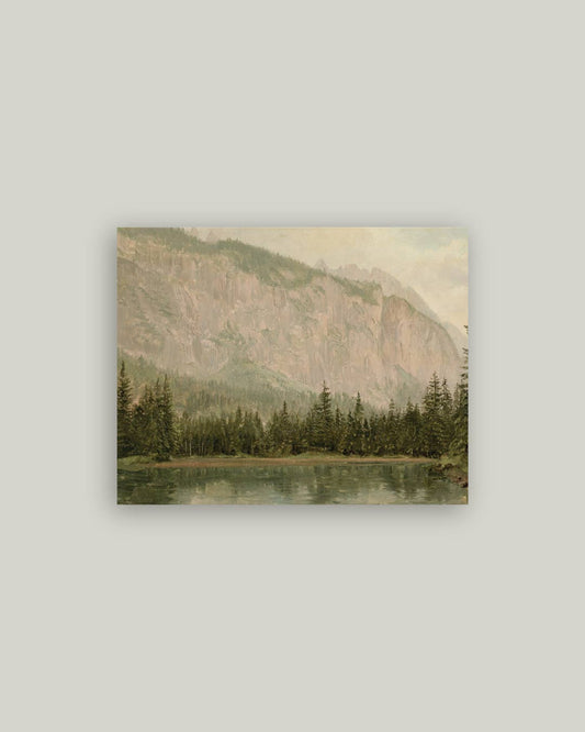 Mountain Pine Landscape Antique Artist Board
