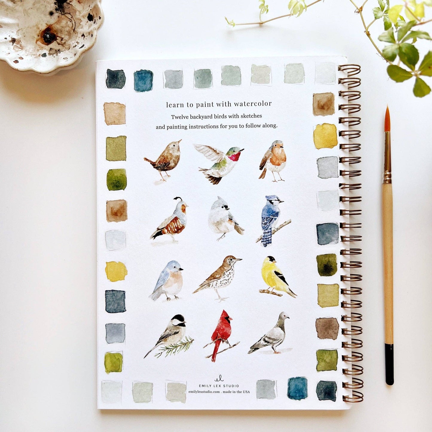 Birds watercolor workbook