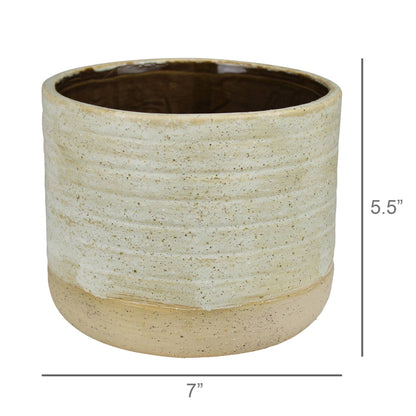 Umbria Cachepot with ficus, Ceramic, White - Lrg