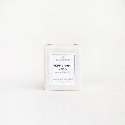 Peppermint Land Hand & Body Soap