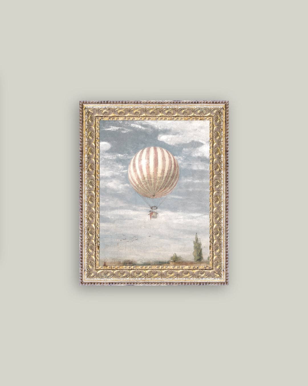 Hot Air Balloon