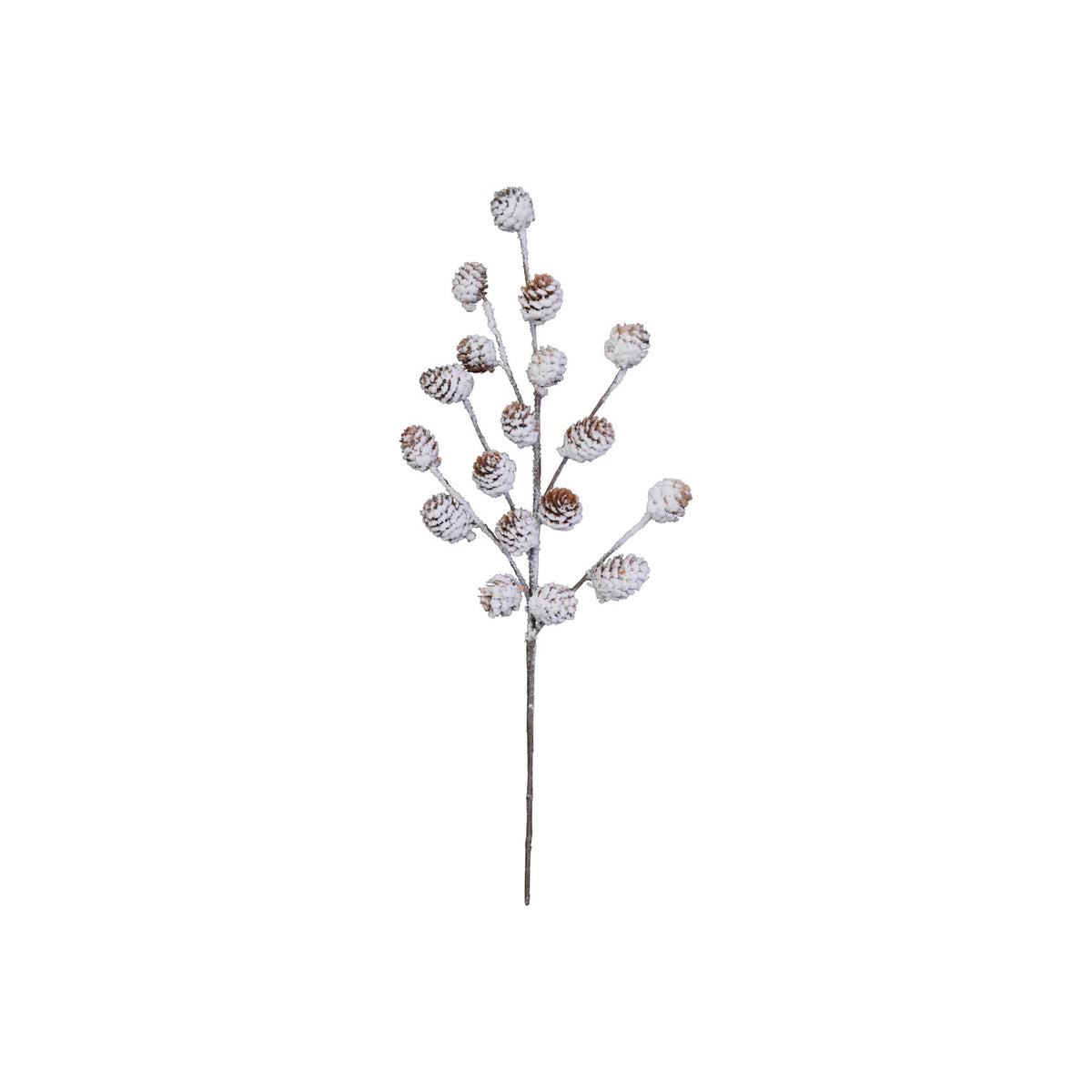 Natural Pinecone Stem